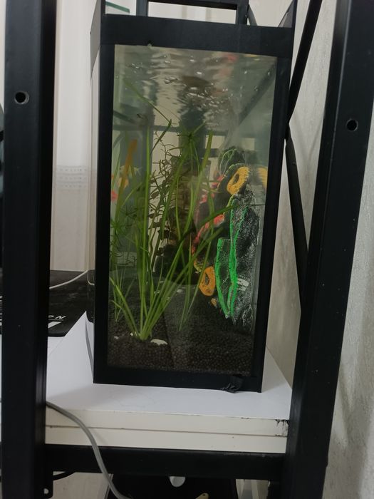 Продам аквариум с рыбками