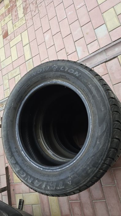 Зимние шины Triangle 215/60/16