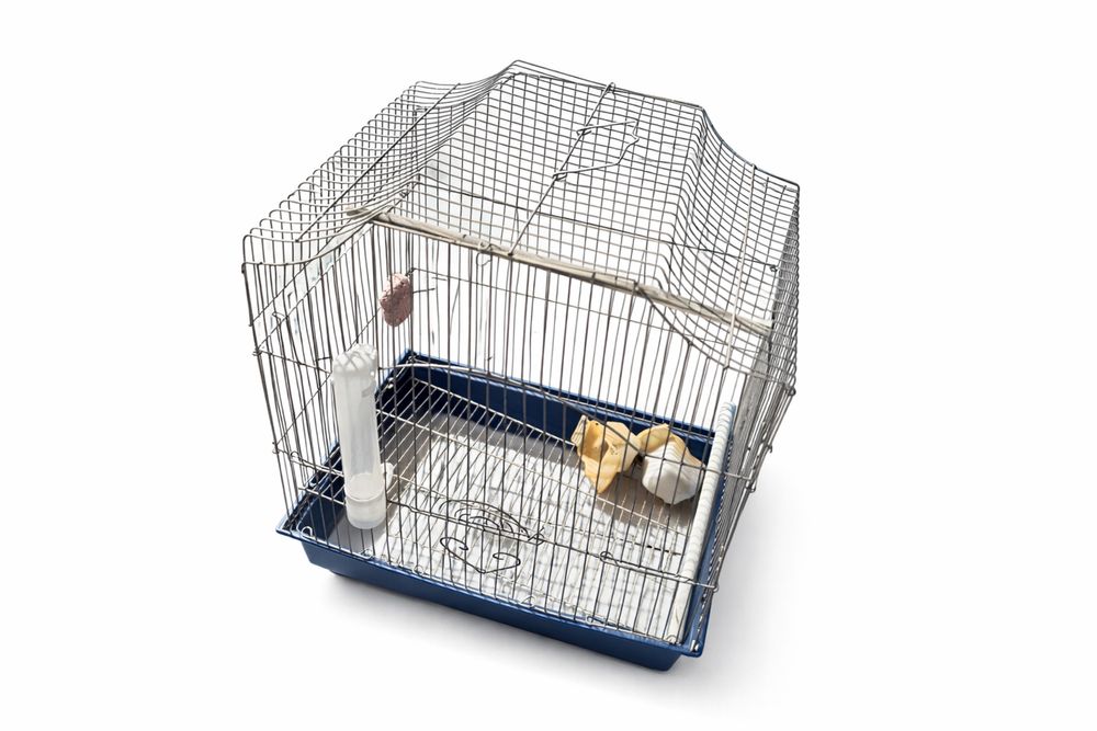 Клетка для птичек  среднего размера с кормушкой