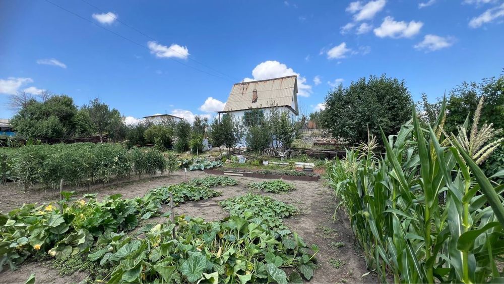 Дача 6 соток ЛУЧ