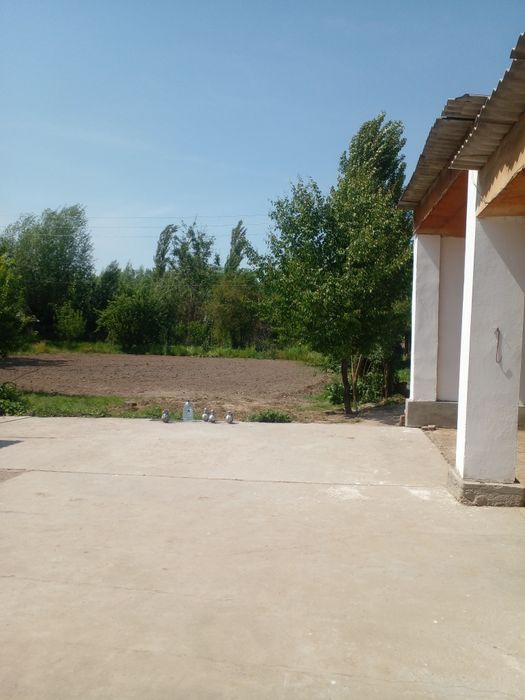 Уй сотилади срочно Ташкент вилояти, Бука тумани Бустон мфй  Марказий к