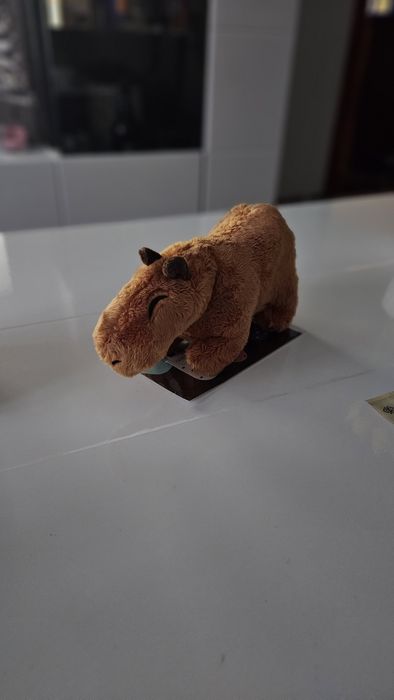 Capybara de plus Oferta!!! 2 buc la 40 de lei