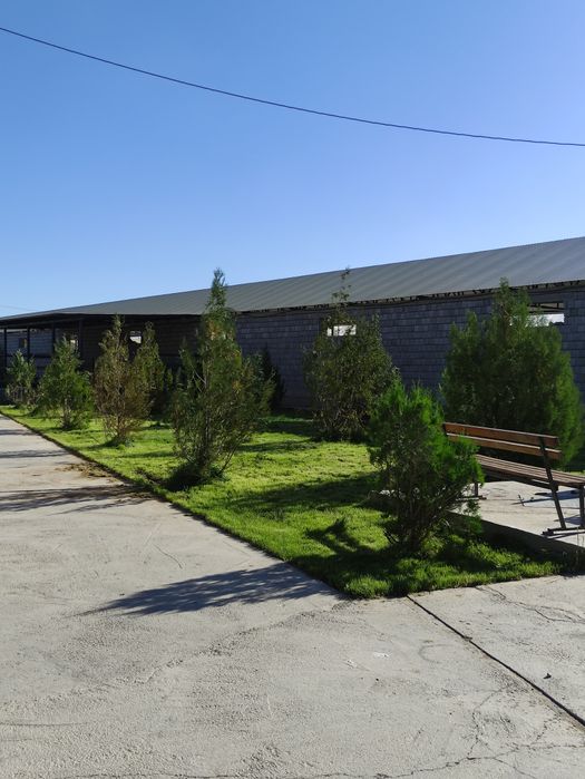 Газон егеміз кв 1000 тенге