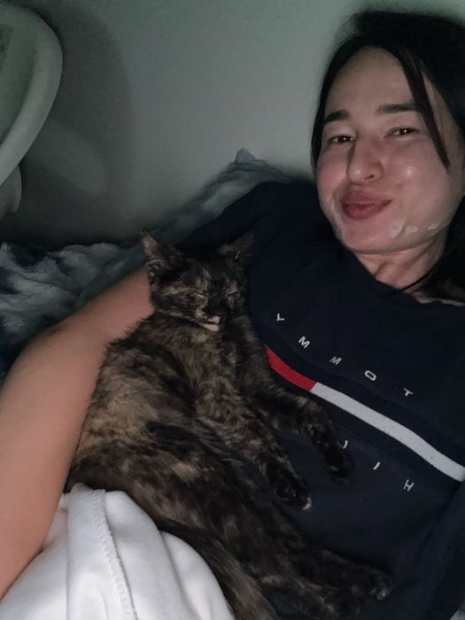 Отдам котенка в связи с аллергией