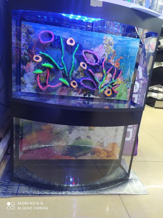 Akvarium yengi avalniy 50 litr