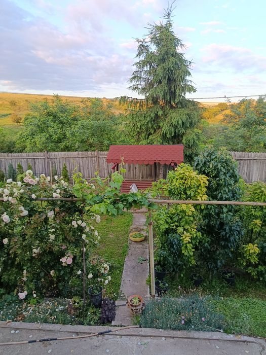 Casa de vânzare în sat Esechioi