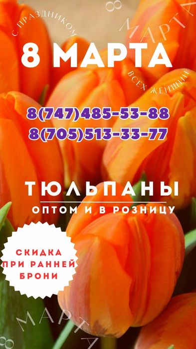 Тюльпаны тюльпан доставка тюльпанов