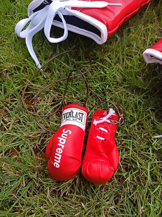 Боксови Ръкавици Supreme x Everlast