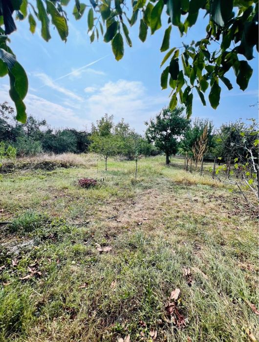 Casa de vanzare Mandruloc