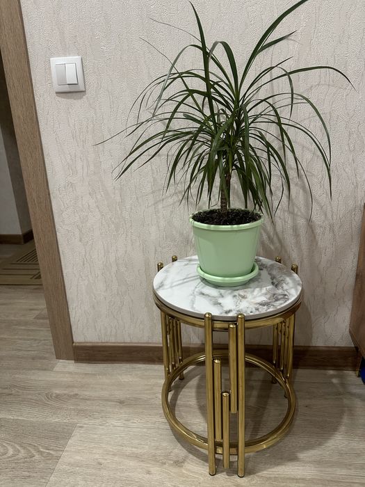 Стол кухонный  шикарный