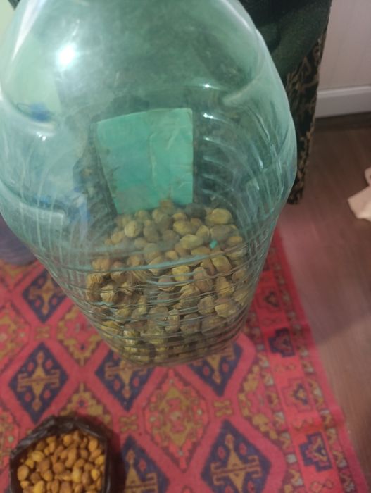 Табиий гулин сотилади.