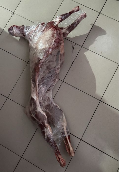 Барашка около 13кг