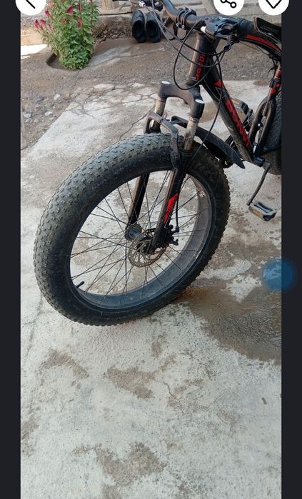 Valasepet sotiladi  holati yaxshi Oldindan etib qoye 200 min rasxoti b