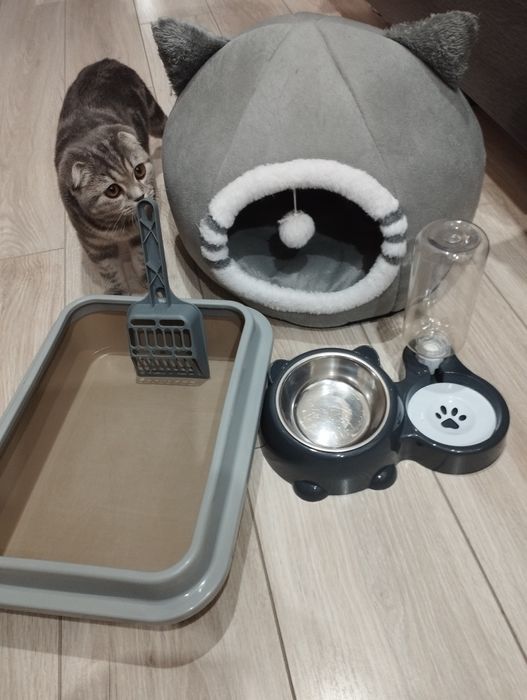 Продам для кошек