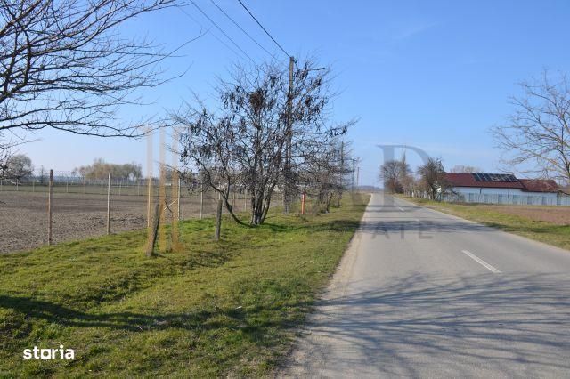 Vanzare Teren intravilan, 5600 mp in Mircea Voda - Dambovita.