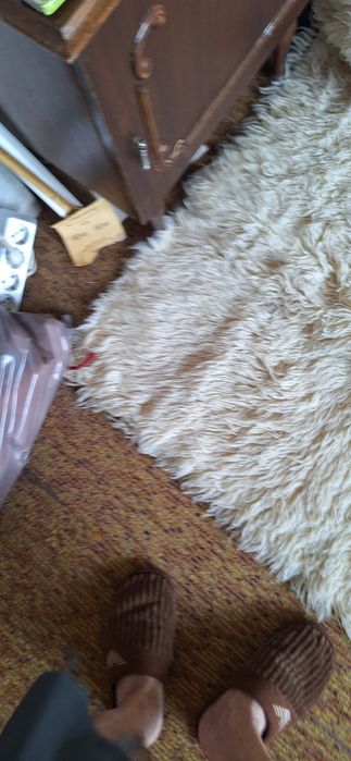 Реснач, китеник, губер