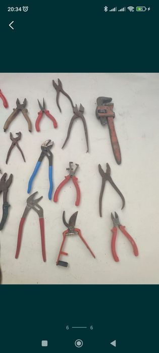 Crești,patenți și un mox