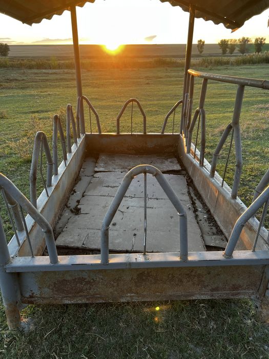 Iesle pentru vaci si cai