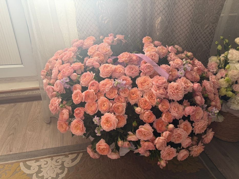 Цветы роза дамасская