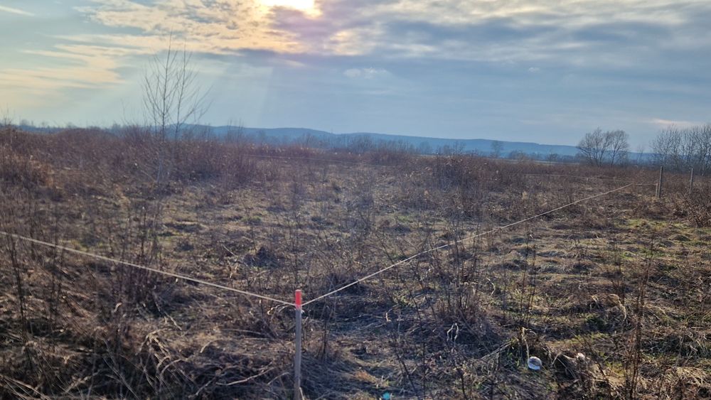 23 ari intravilan Bușag