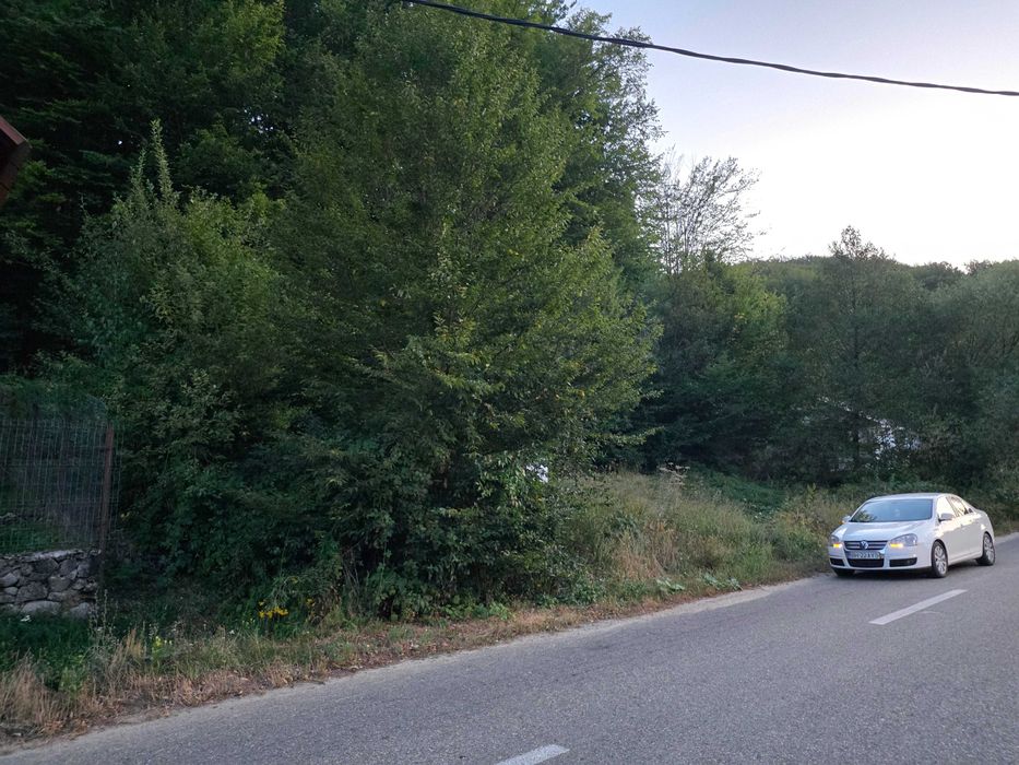 Teren Intravilan cu Utilități la Strada și Pădure în Spate – Pădurea Neagră, Bihor