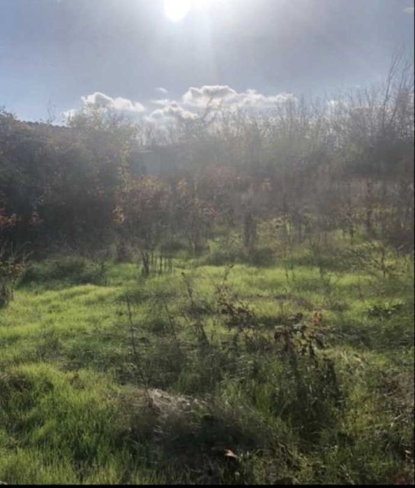 Парцел в село Церова кория