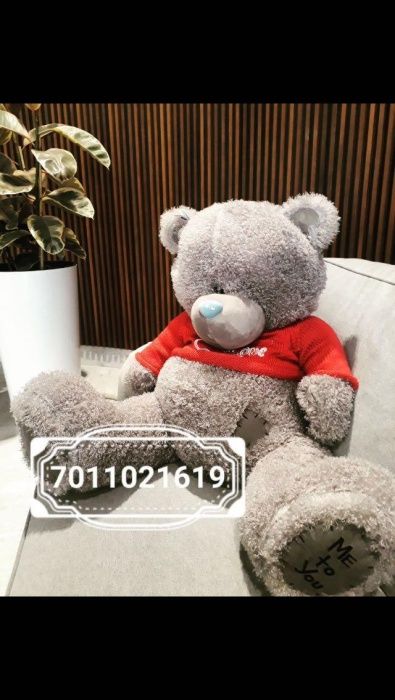 Плюшевые Мишки Тедди Тараз