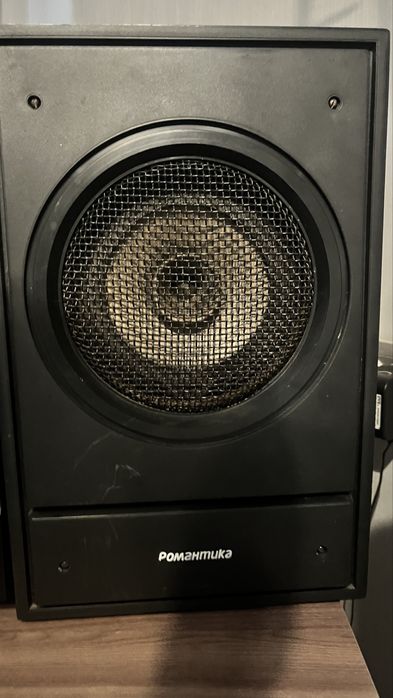 Колонки романтика 10-ас207