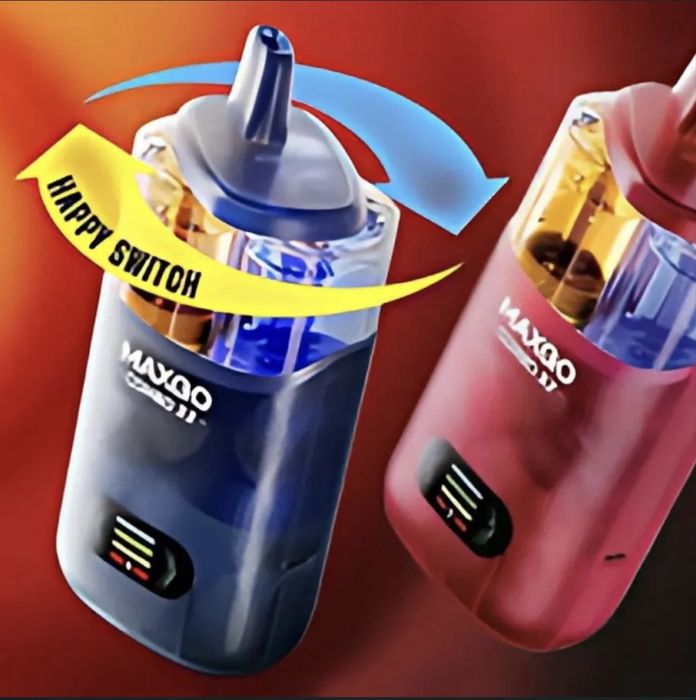 Vape 33000 Puffs 2 in 1 LICHIDARE DE STOCK