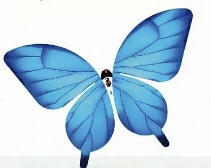Бабочки на пульте управления