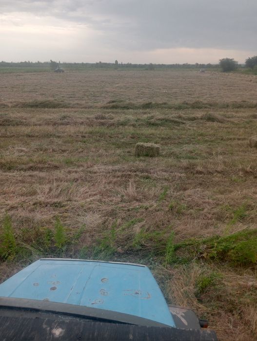 Сено с доставкой