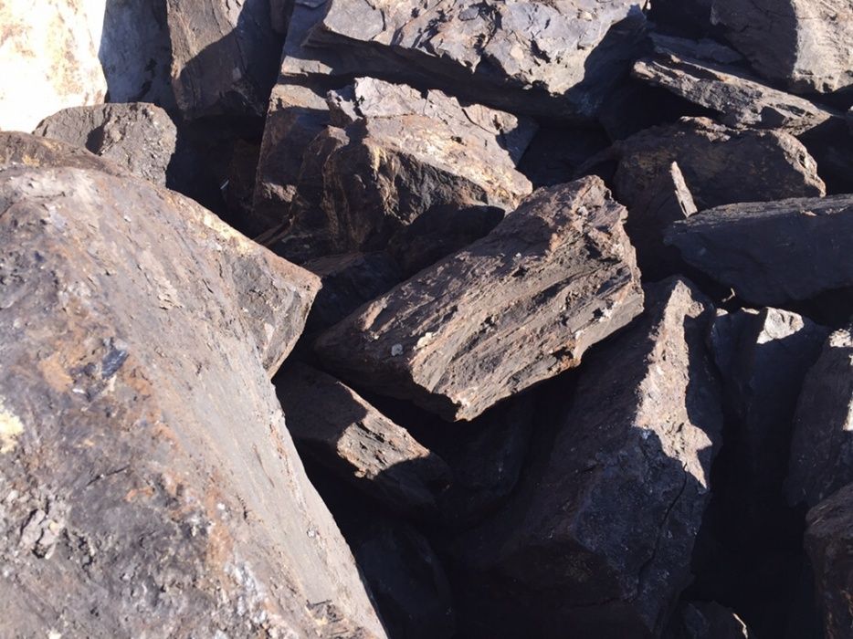 Carbuni pentru foc Lignit super oferta