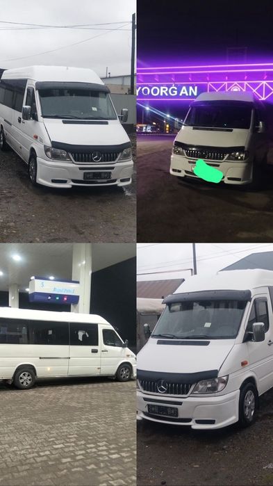 Спринтер спринтер