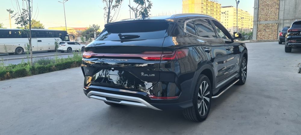 BYD Chempion кора