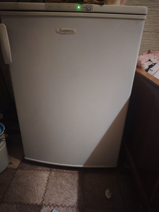 Продам морозильная камера Бирюса