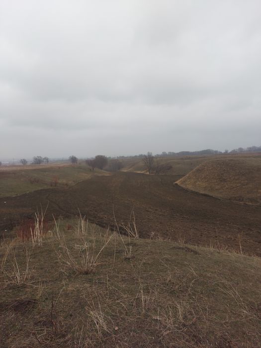 Продам участок в теремки