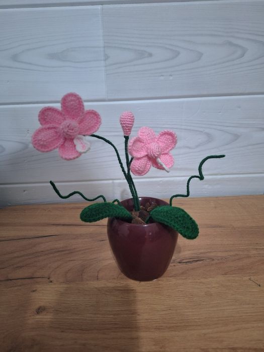 Неувяхващи орхидеи