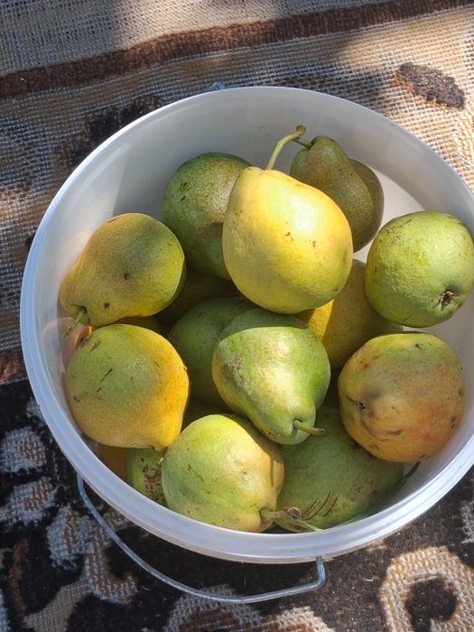 Дача на первой водоколонке. Вьезд во вторые ворота