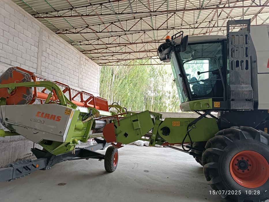 Dominator 260 yangi Kambayini