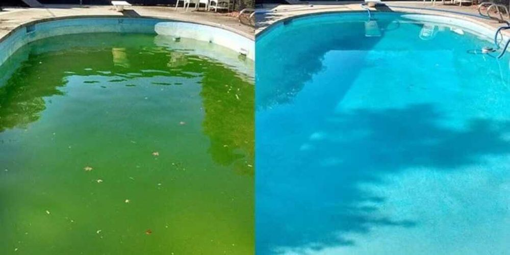 Химия для бассейна, для водоема  Альгицид 1л жидкость 1 кг, 1 л