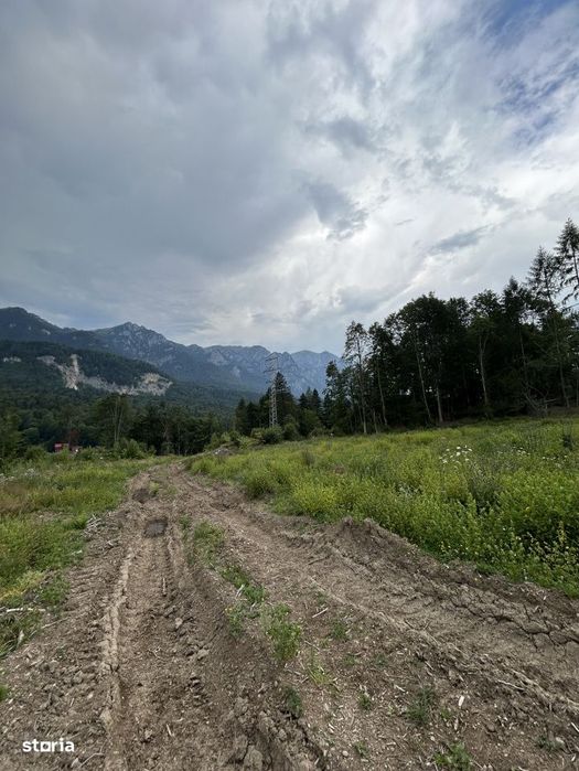 Teren intravilan, 1000 mp, proiect duplex P+E, zona Sinaia - Zamora