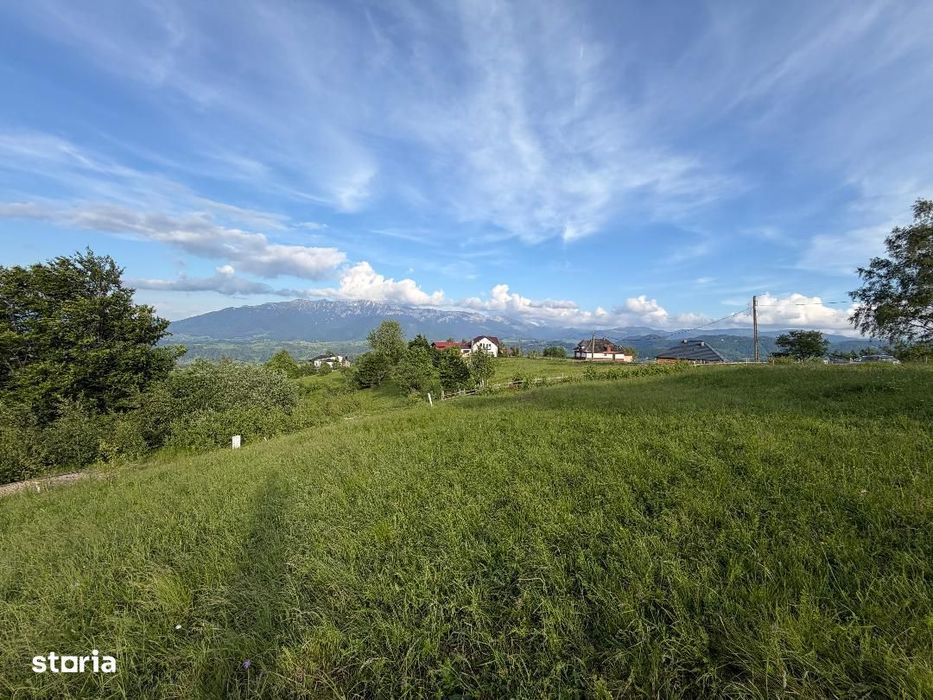 Teren intravilan 1400 mp in satul Pestera, Comuna Moieciu, zona Bran
