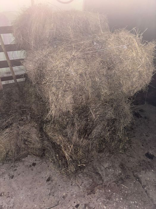Продам сено в тюках