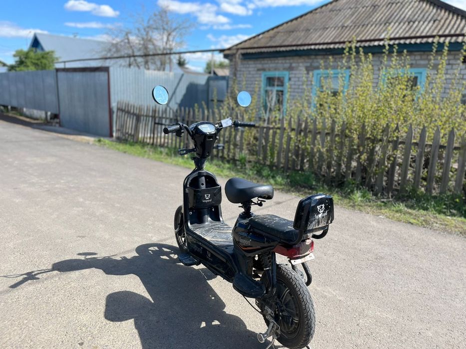 Леопард мопед 2023