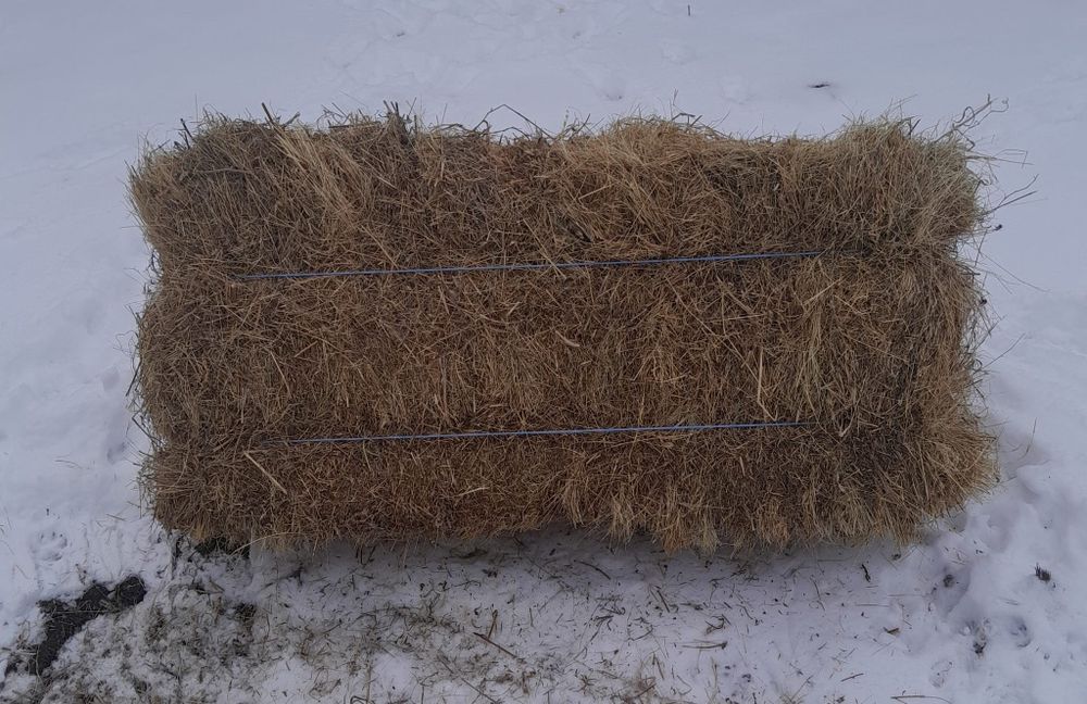 Baloți de iarbă de vânzare