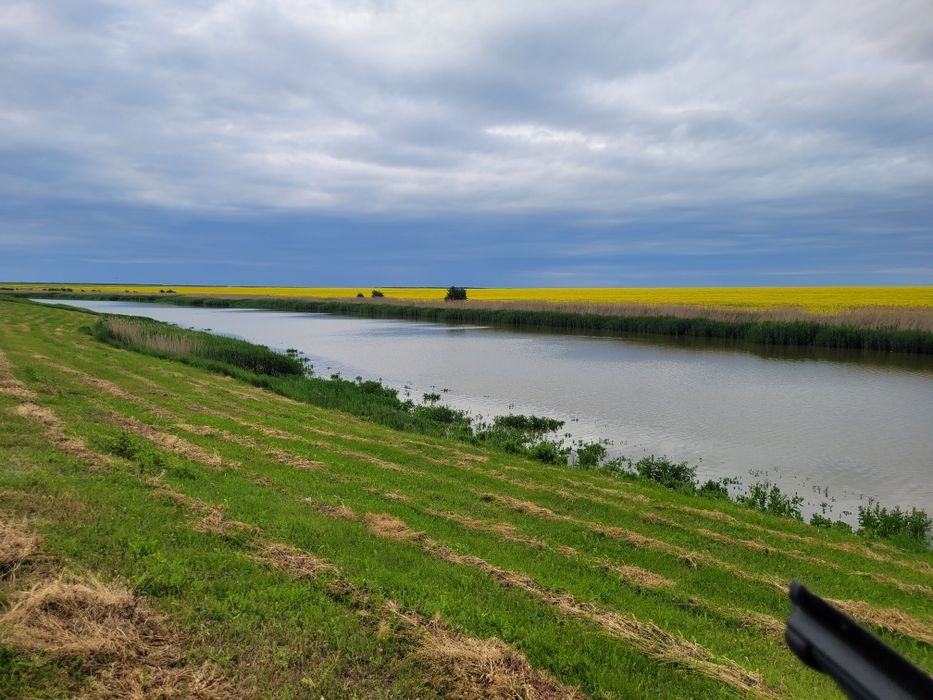 Vand teren Frumusani