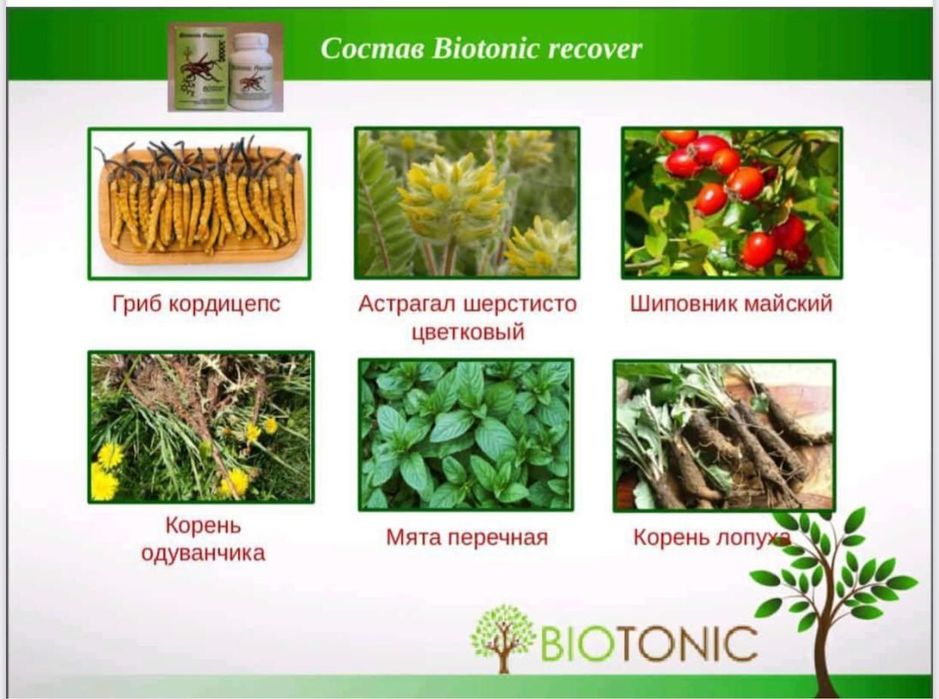BIOTONIC RECOVER иммуномодулятор ,адаптоген.