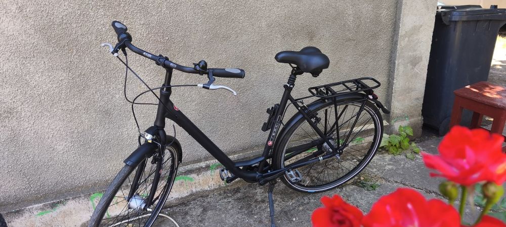 Bicicleta Pegasus