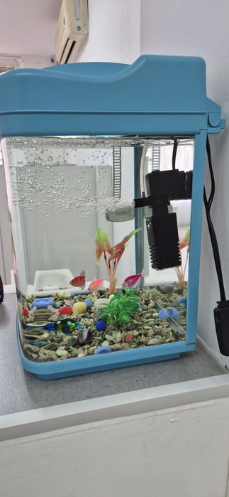 Аквариум с рыбками