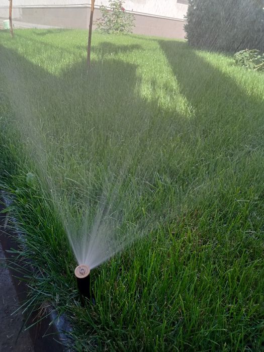 Автополив Hunter.